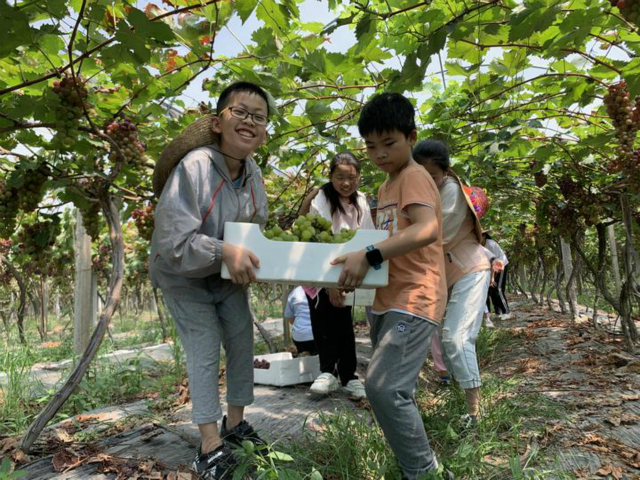 1565931062314729.jpg 1565007220928_5d481d74159bb8475065d994_meitu_2.jpg