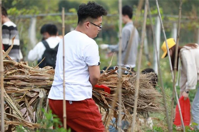 1572573550457269.jpg 1.1.jpg